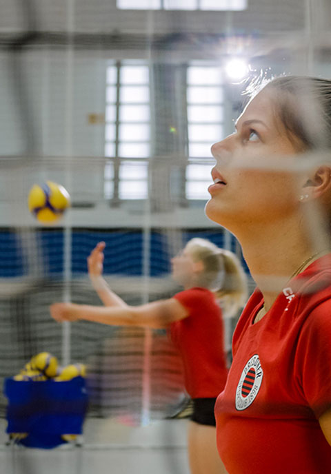 67c16d6c87f6171ff502c406