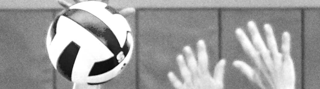 51c854815d445de46b0000de