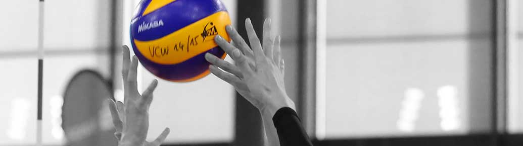 51c859125d445dee6b0000f7